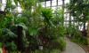 グリーンプラザの温室