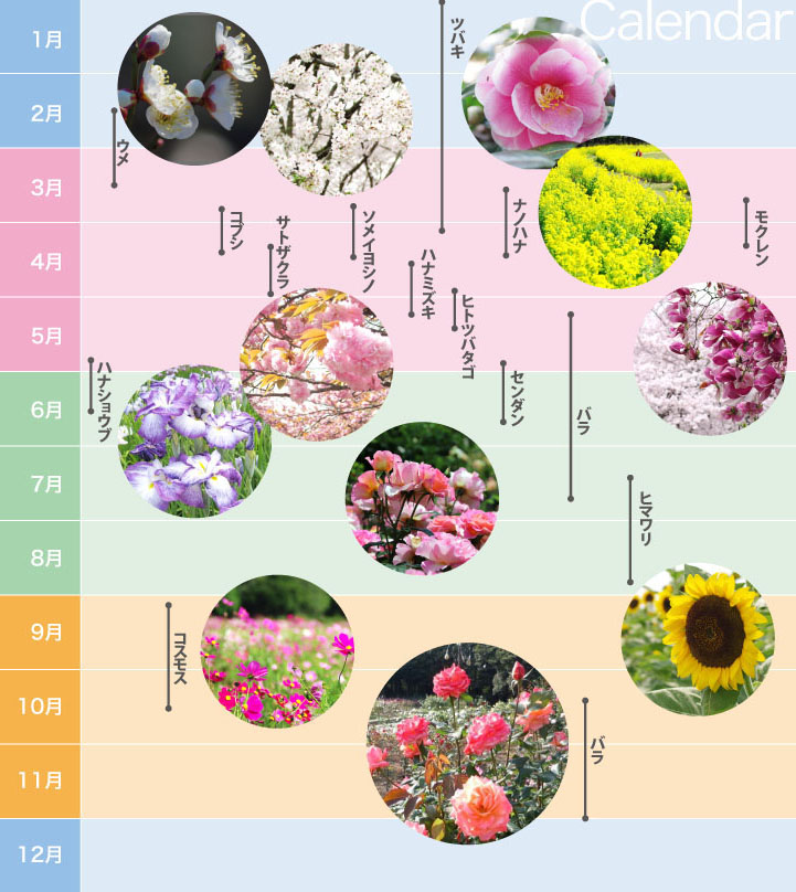 花の見ごろカレンダー